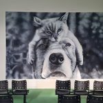 Imagem ilustrativa da empresa Hospital Veterinário Anclivepa em Belo Horizonte - MG