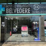 Imagem ilustrativa da empresa Hospital Veterinário Belvedere em Belo Horizonte - MG