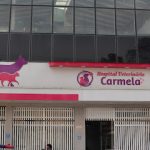 Imagem ilustrativa da empresa Hospital Veterinário Carmela em Guarulhos - SP