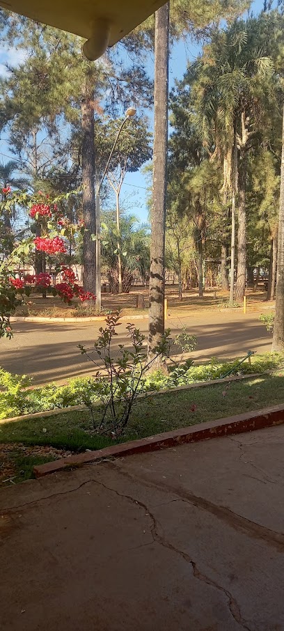 Hospital Veterinário da UFG em Goiânia - GO