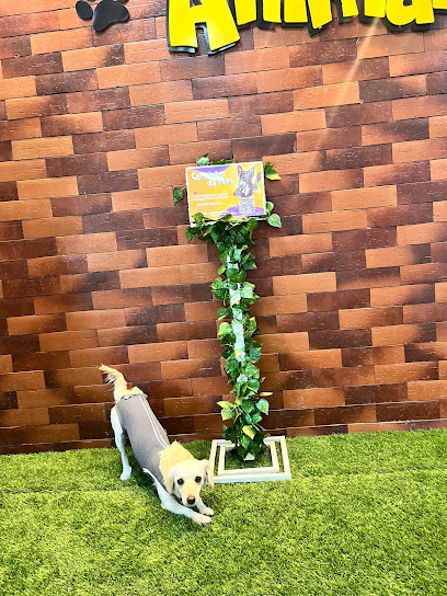 Imagem ilustrativa da empresa Hospital Veterinário Estilo Animal LTDA em Belo Horizonte - MG
