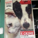 Imagem ilustrativa da empresa Hospital Veterinário Mário Dias Teixeira em Belém - PA