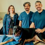 Imagem ilustrativa da empresa Hospital Veterinário MedVet em Belo Horizonte - MG