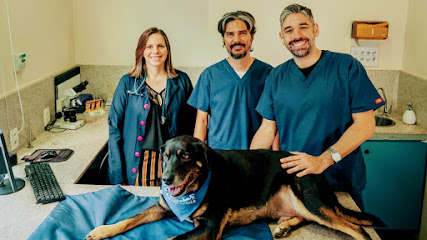 Imagem ilustrativa da empresa Hospital Veterinário MedVet em Belo Horizonte - MG