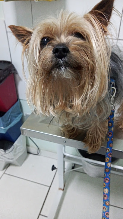 Hospital Veterinário Nivo Auffinger em Curitiba - PR