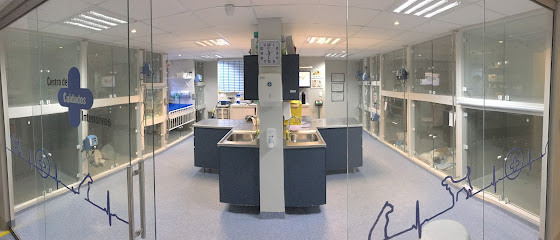 Imagem ilustrativa da empresa Hospital Veterinário Pet Support - Zona Norte em Porto Alegre - RS