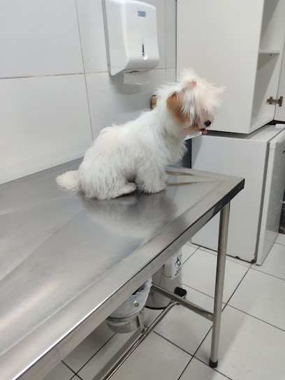 Hospital Veterinário PetSanus 24h em Fortaleza - CE