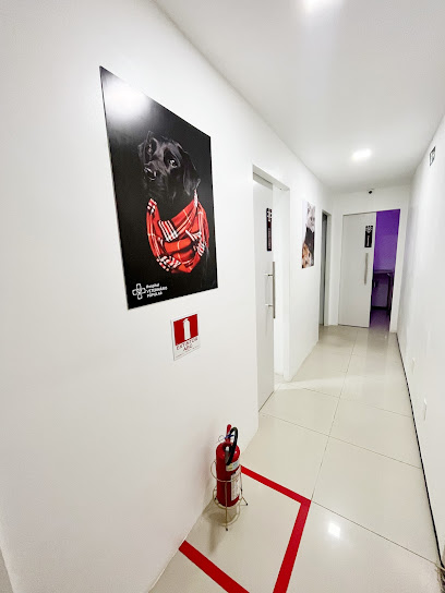 Hospital Veterinário Popular J. Távora em Fortaleza - CE