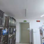 Imagem ilustrativa da empresa Hospital Veterinário Santa Mônica em Curitiba - PR