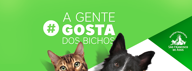 Imagem ilustrativa da empresa Hospital Veterinário São Francisco de Assis em Belo Horizonte - MG