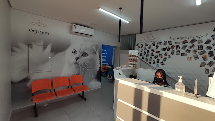 Hospital Veterinário São Paulo em São Paulo - SP