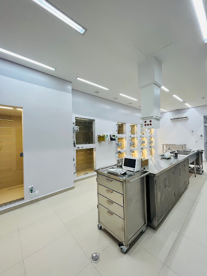 Imagem ilustrativa da empresa Hospital Veterinário Seres São Luís em São Luís - MA
