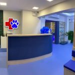 Imagem ilustrativa da empresa Hospital Veterinário Sonho Meu em Porto Alegre - RS
