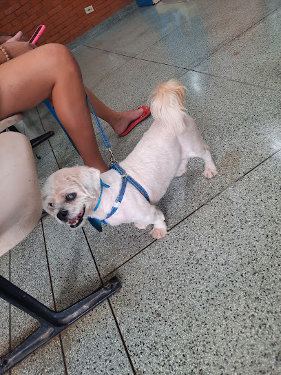 Hospital Veterinário UFMS em Campo Grande - MS