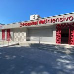 Imagem ilustrativa da empresa Hospital Veterinário Vet Intensivo - 24 Horas em Fortaleza - CE