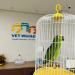 Imagem ilustrativa da empresa Hospital Veterinário Vetworld 24horas em Fortaleza - CE