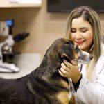 Imagem ilustrativa da empresa Hospital Veterinário VITA 24h - Caxangá em Recife - PE