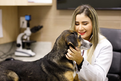 Hospital Veterinário VITA 24h - Caxangá em Recife - PE