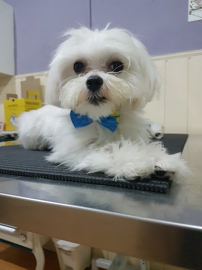 IMMP Clínica Veterinária em Nova Iguaçu - RJ