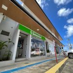 Imagem ilustrativa da empresa Insemina Pet- Clínica Veterinária & Pet Shop em Maceió - AL