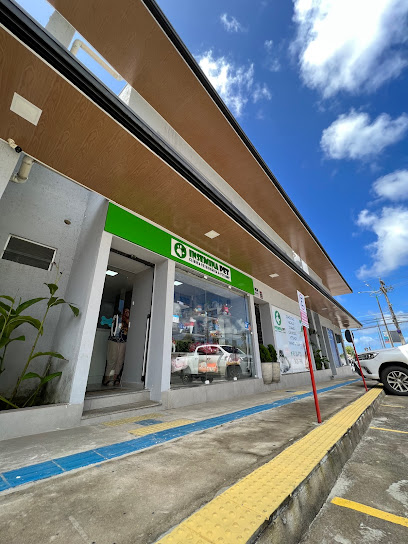 Imagem ilustrativa da empresa Insemina Pet- Clínica Veterinária & Pet Shop em Maceió - AL