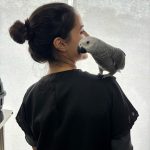 Imagem ilustrativa da empresa Isabele Pereira - Veterinária de pets não convencionais em Ribeirão Preto - SP