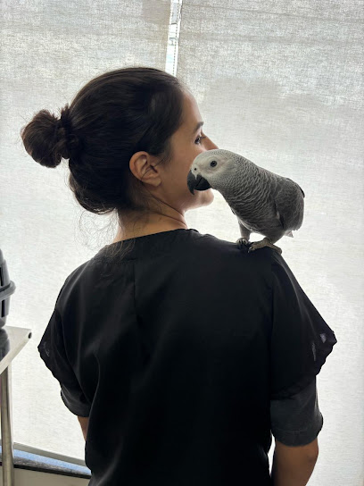 Isabele Pereira - Veterinária de pets não convencionais em Ribeirão Preto - SP