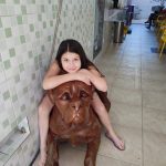 Imagem ilustrativa da empresa JPet Shop e Clínica Veterinária em Duque de Caxias - RJ