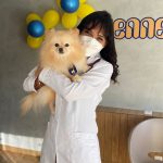 Imagem ilustrativa da empresa Kennel Veterinária - Agromix Cabula - Atendimento Veterinário - Banho e Tosa em Salvador - BA