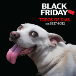 Imagem ilustrativa da empresa Kennel Veterinária em Maceió - AL