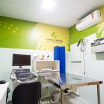 Imagem ilustrativa da empresa Latidos e Miados - Hospital Veterinário 24 Horas em Salvador - BA