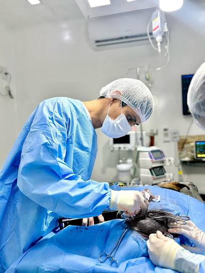 Leonardo Costa - Ortopedia Veterinária em Belém - PA