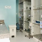 Imagem ilustrativa da empresa Life Hospital Veterinário em Belo Horizonte - MG