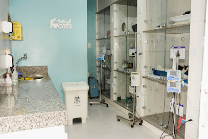 Imagem ilustrativa da empresa Life Hospital Veterinário em Belo Horizonte - MG
