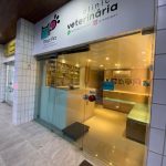 Imagem ilustrativa da empresa Mapi Pet clínica Veterinária em Recife - PE