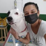 Imagem ilustrativa da empresa Marília Andrade Vet. - Veterinário em Ribeirão Preto - SP