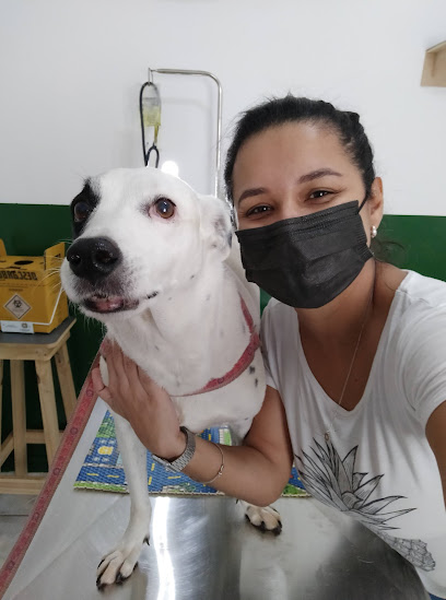 Marília Andrade Vet. - Veterinário em Ribeirão Preto - SP