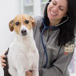Imagem ilustrativa da empresa MASKOVET CLÍNICA VETERINÁRIA | VETERINÁRIA IPIRANGA | VACINAS | CIRURGIAS | DENTISTA VETERINÁRIA em São Paulo - SP