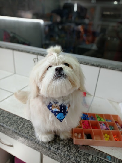 Medical Pet clínica veterinária e pet shop em Campo Grande - MS