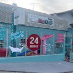 Imagem ilustrativa da empresa Meu Xodó VetCare - Clínica Veterinária 24 Horas e Centro de Especialidades Veterinária em Belo Horizonte - MG