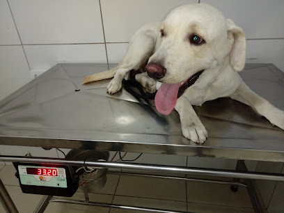 Miau & Auau - Veterinário em Recife - PE