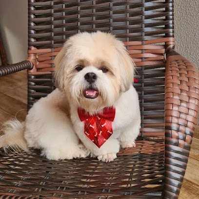 Mister Pet - Clínica Veterinária e Pet Shop em Campo Grande - MS