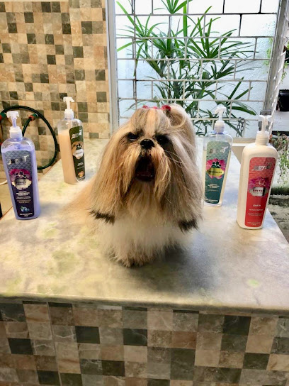 Mister Pets AL - Veterinário em Maceió - AL
