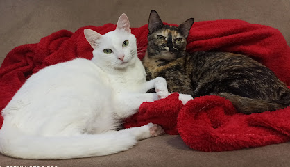 Morinat - Clínica Veterinária em Sorocaba - SP