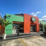Imagem ilustrativa da empresa Mundo dos Bichos - Veterinário em Recife - PE