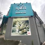 Imagem ilustrativa da empresa My Vets - Clínica Veterinária 24h em São Paulo - SP