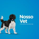 Imagem ilustrativa da empresa Nosso Vet Clínica Veterinária em São Paulo - SP