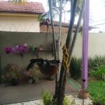 Imagem ilustrativa da empresa Núcleo de castração são Francisco de Assis - Veterinário em Campo Grande - MS