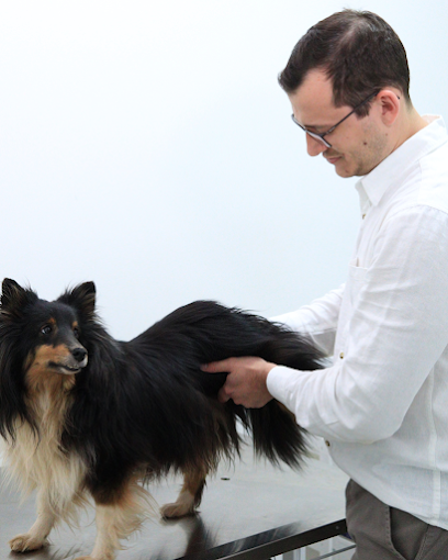 Nucleon - Veterinário 24 horas em Ribeirão Preto - SP