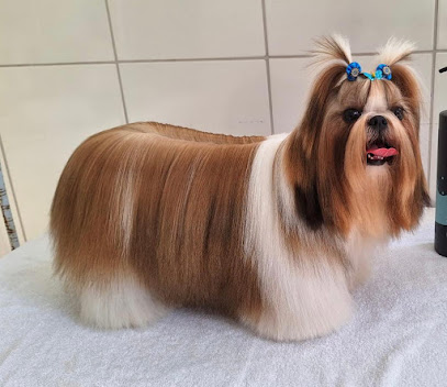 Núcleovet - Centro Médico Veterinário & Estética Animal em Campinas - SP